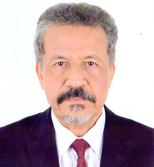 <a href='/en/program/speakers/speaker-of-track-4'>Dr. Mohammed El Geadway</a>